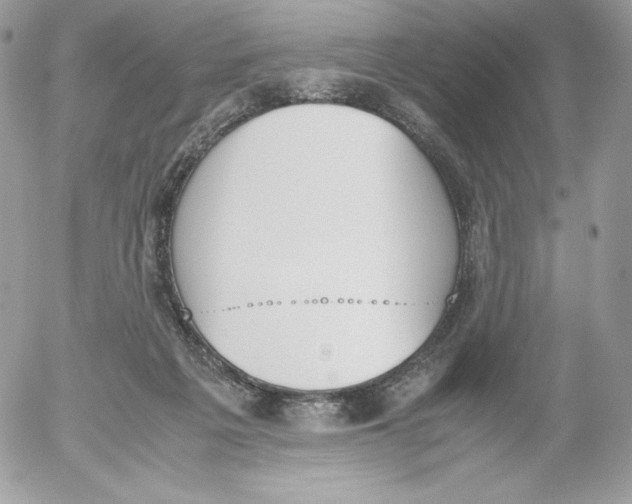 X0000052610217200507221707