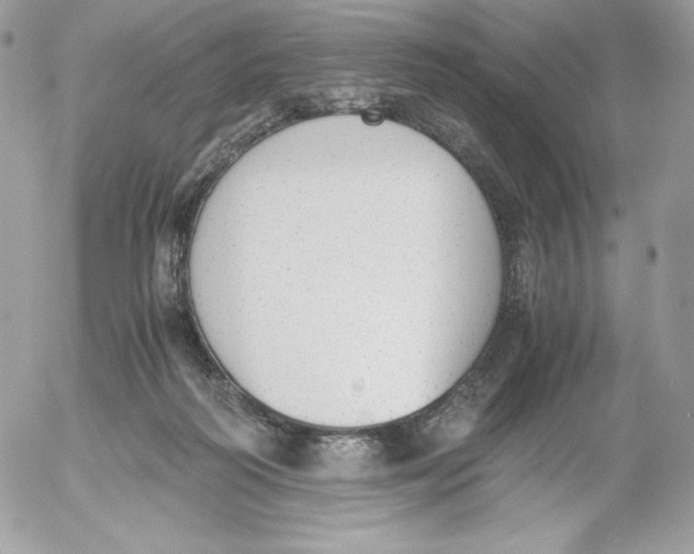 X0000052610218200507221707