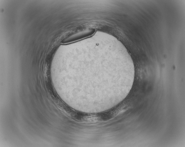 X0000052610219200507221707