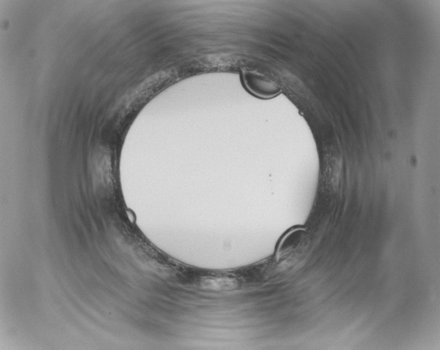 X0000052610220200507221707