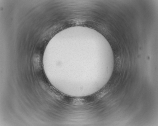 X0000052610222200507221707