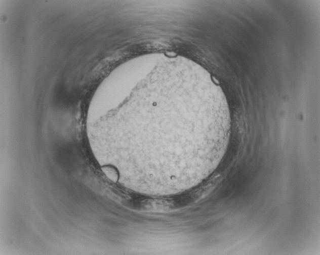 X0000052610223200507221707