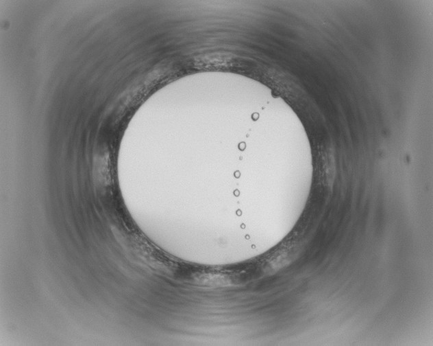 X0000052610224200507221707