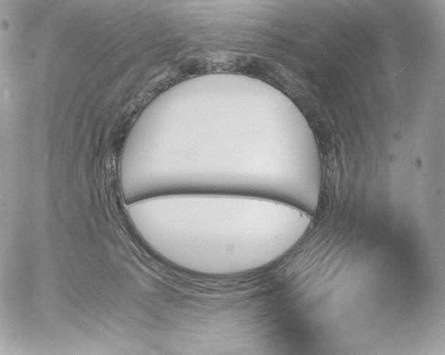 X0000052610225200507221707