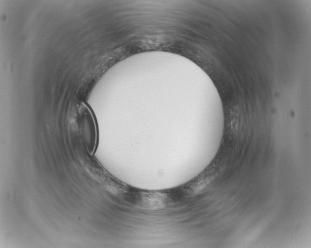 X0000052610226200507221707