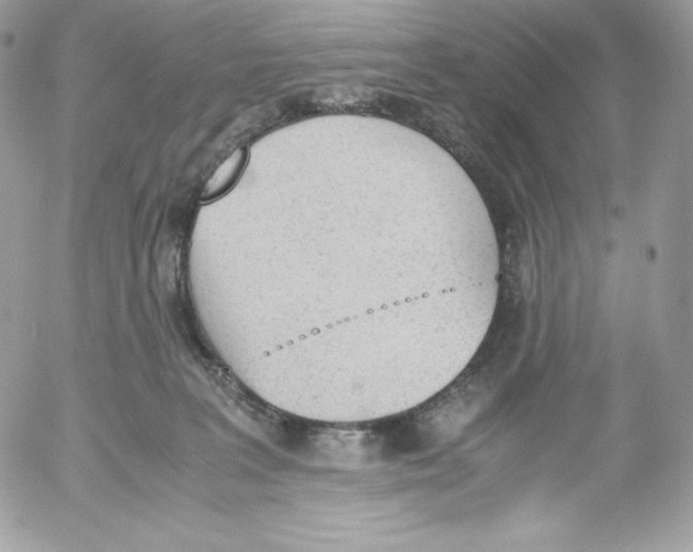 X0000052610227200507221707