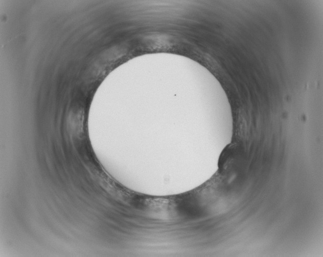 X0000052610230200507221707