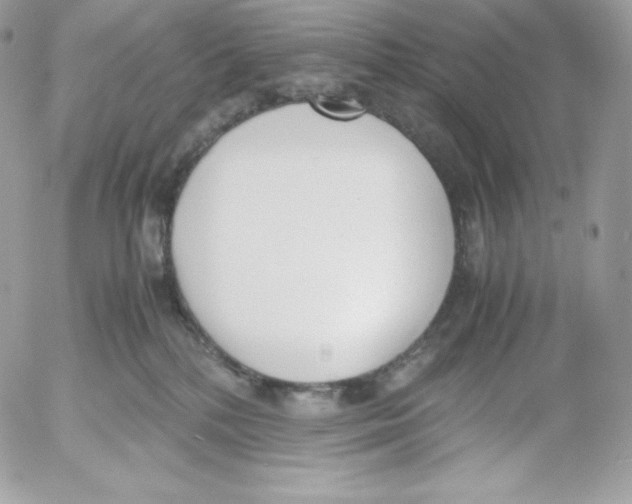 X0000052610232200507221707