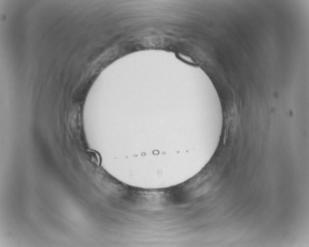 X0000052610233200507221707