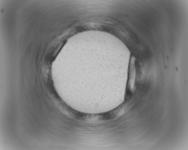 X0000052610235200507221707