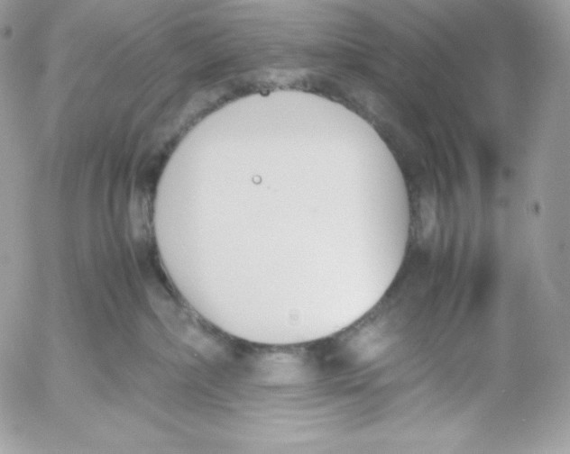 X0000052610236200507221707