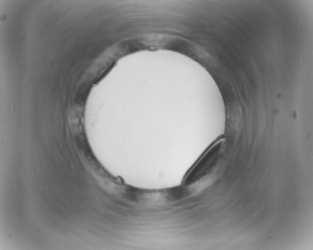 X0000052610237200507221707