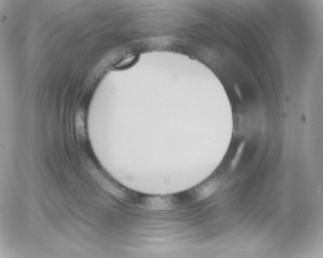 X0000052610238200507221707