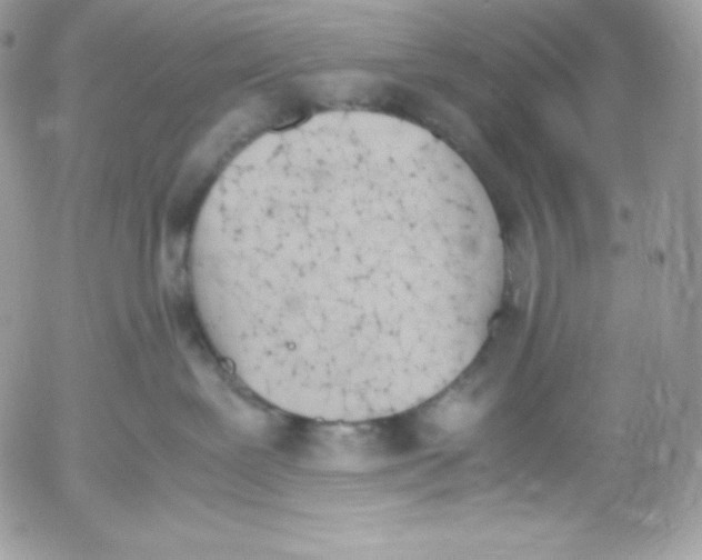 X0000052610239200507221707