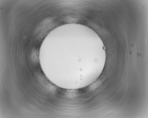 X0000052610240200507221707