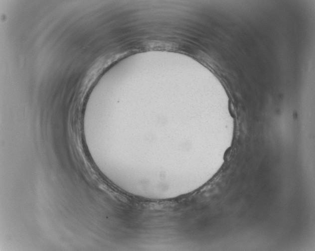 X0000052610241200507221706