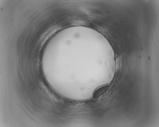 X0000052610243200507221706