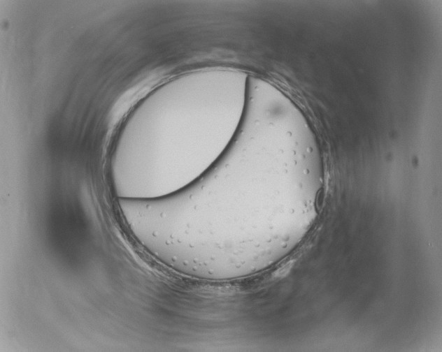 X0000052610245200507221706