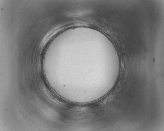 X0000052610247200507221706