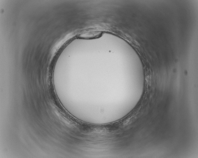 X0000052610248200507221706