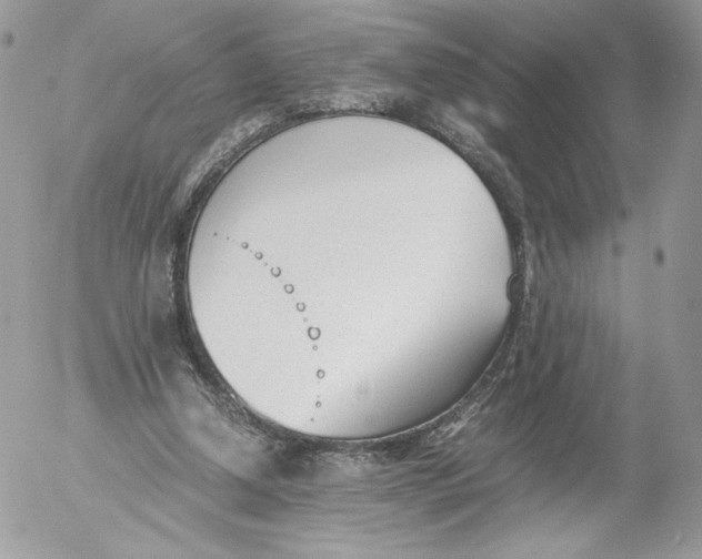 X0000052610250200507221706