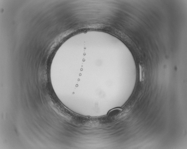 X0000052610252200507221706