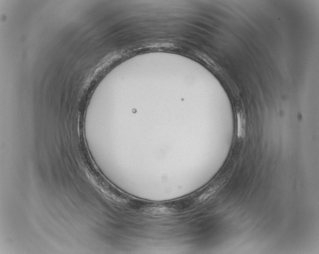 X0000052610253200507221706