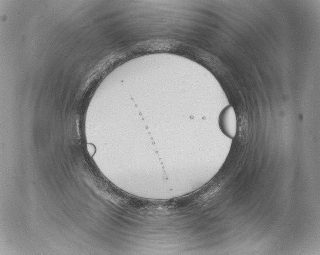 X0000052610254200507221706