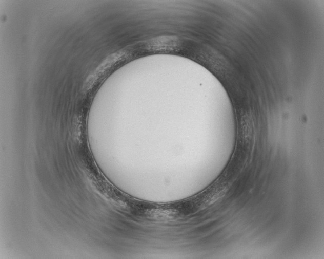 X0000052610255200507221706