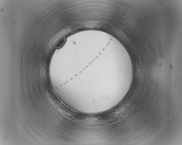 X0000052610256200507221706