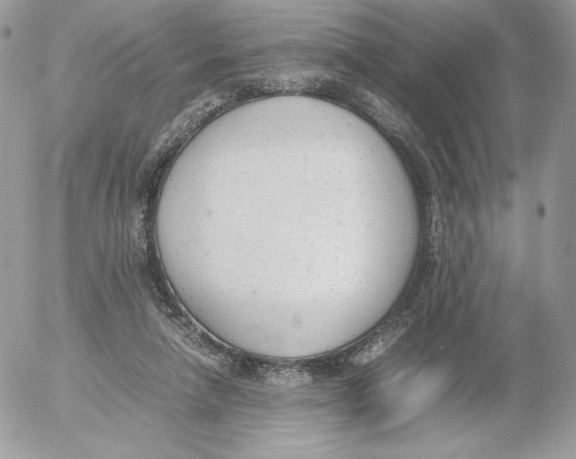 X0000052610258200507221706