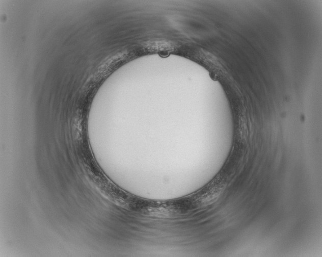 X0000052610259200507221706