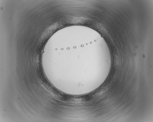 X0000052610260200507221706