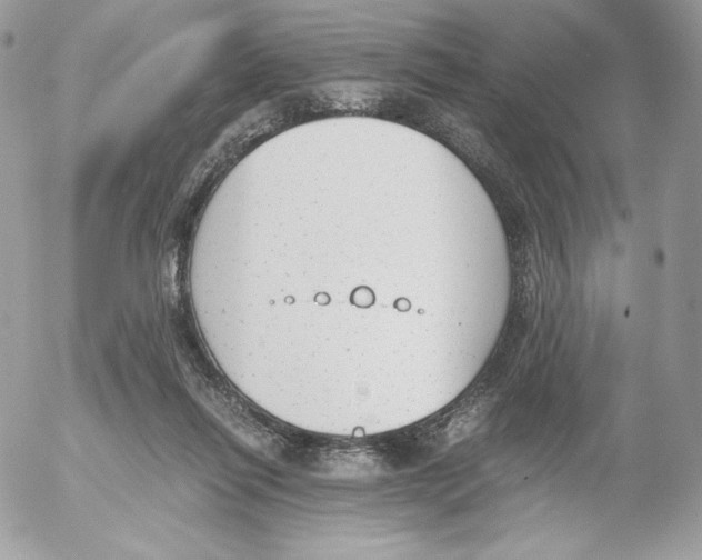 X0000052610262200507221706