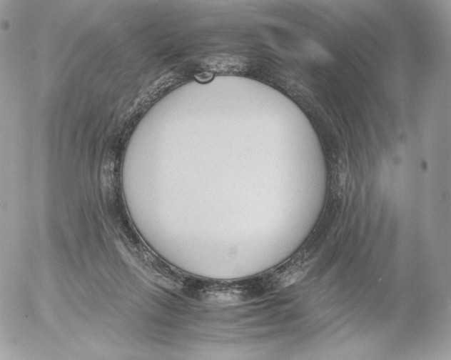 X0000052610263200507221706