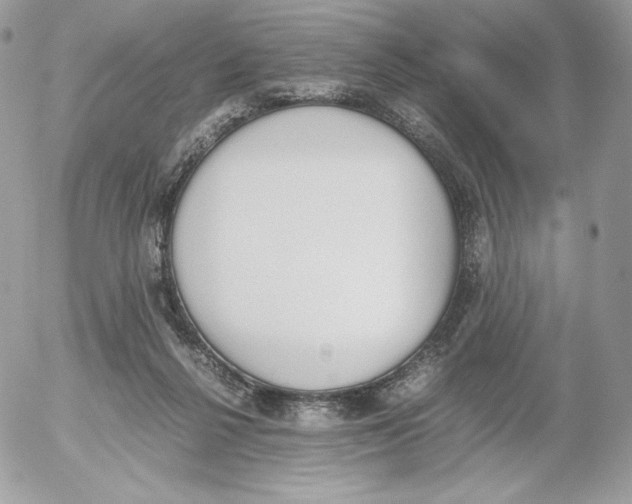 X0000052610264200507221706