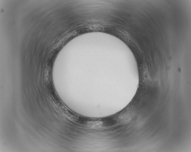 X0000052610266200507221706