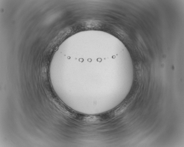 X0000052610269200507221707