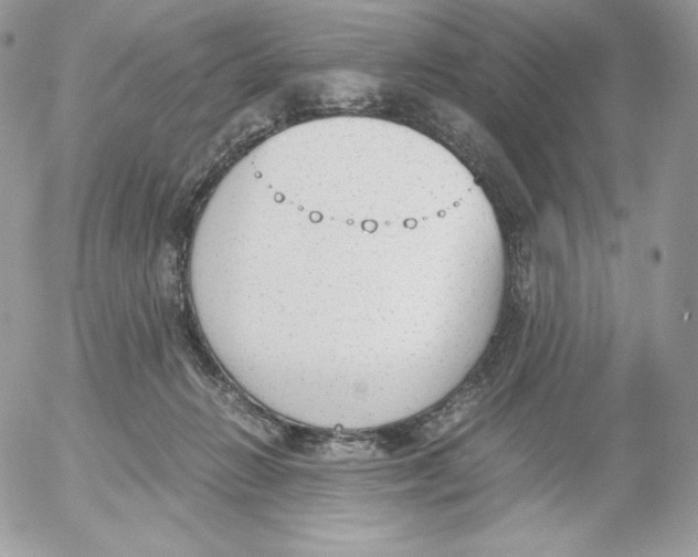 X0000052610270200507221707