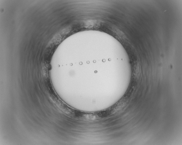 X0000052610272200507221707