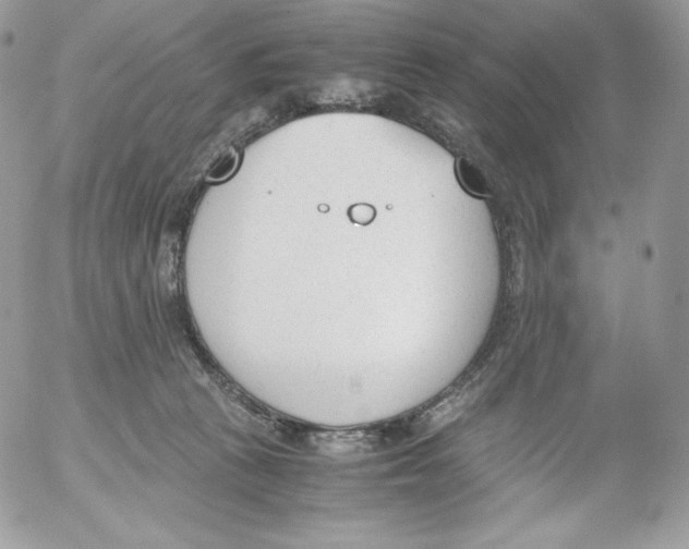 X0000052610273200507221707