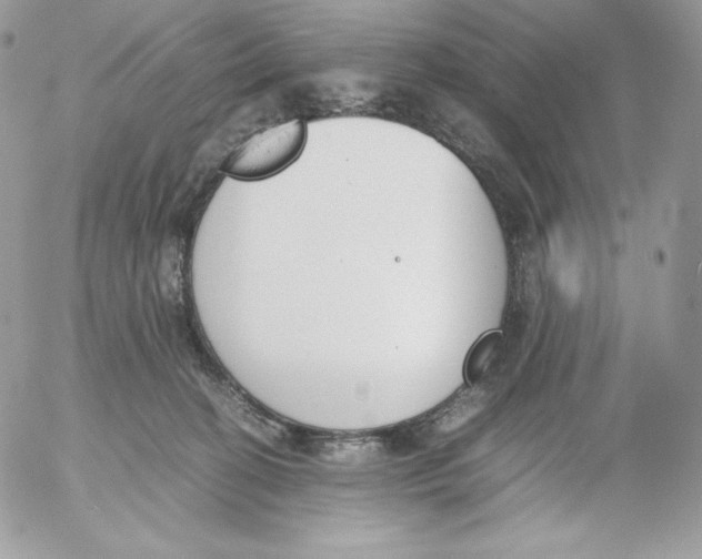 X0000052610274200507221707