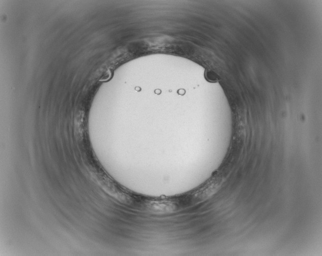 X0000052610275200507221707