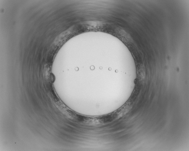 X0000052610276200507221707