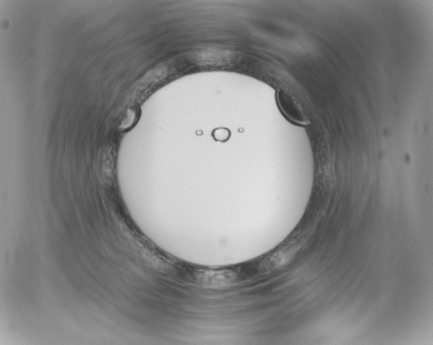 X0000052610277200507221707