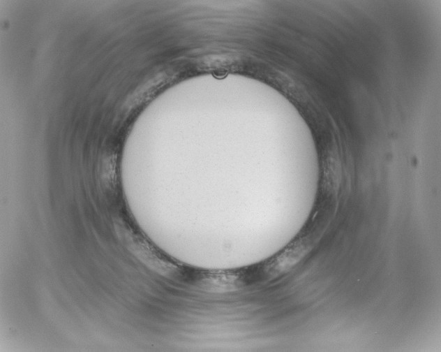 X0000052610278200507221707