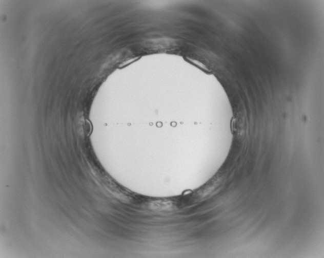 X0000052610279200507221707