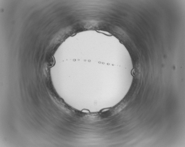 X0000052610280200507221707