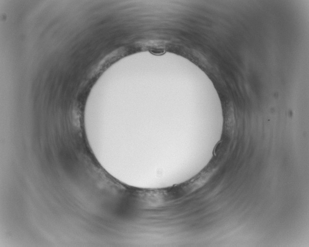 X0000052610282200507221707