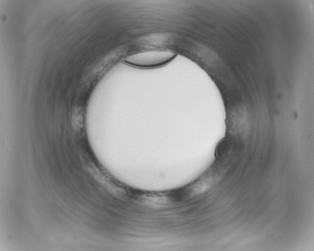 X0000052610284200507221707